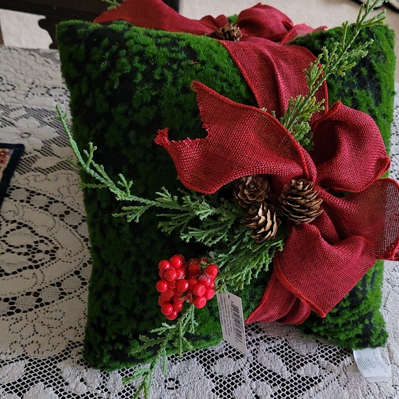 Beautiful Christmas pillow! - Picture 3 of 5